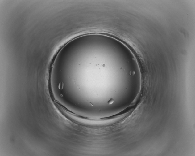 X0000111681508200907311209