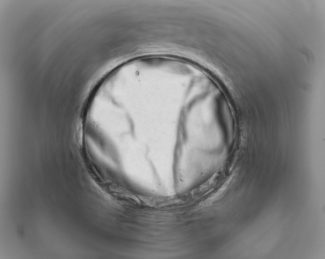 X0000111681509200907311209