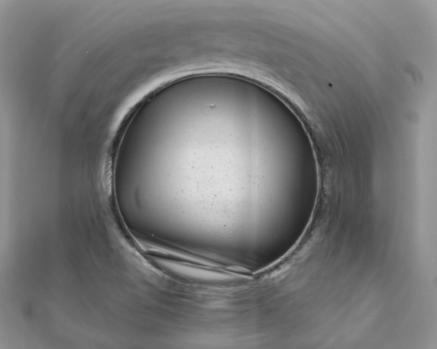 X0000111681510200907311209