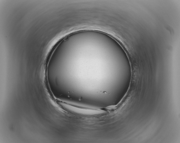 X0000111681511200907311209