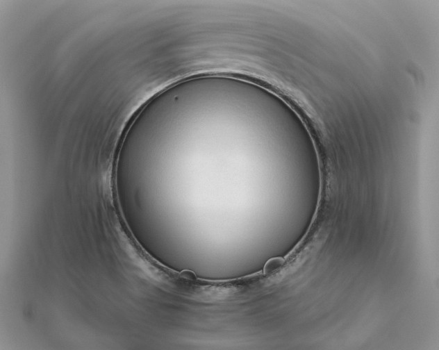 X0000111681513200907311209