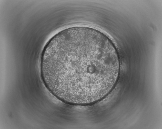 X0000111681514200907311209