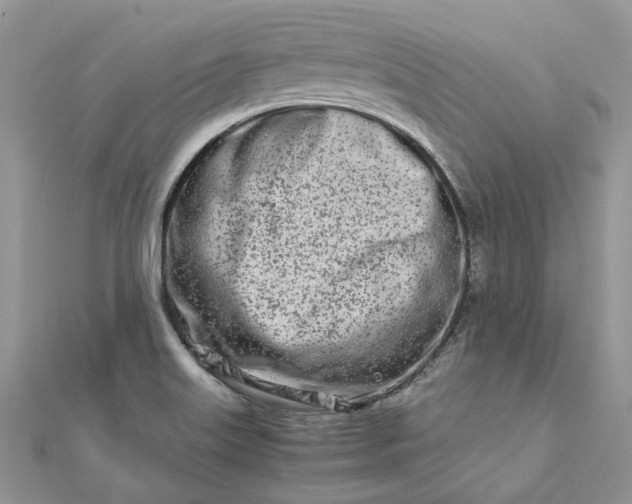 X0000111681515200907311209