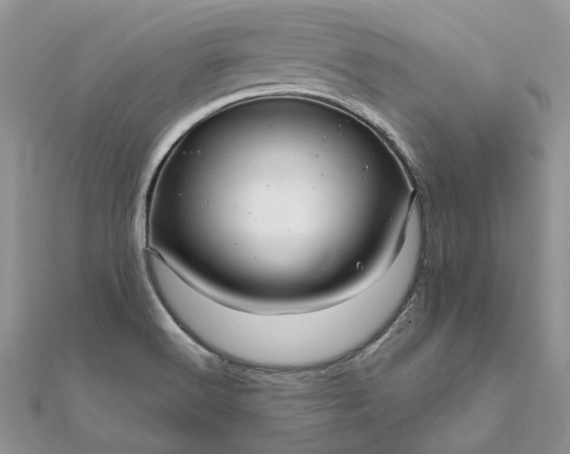 X0000111681516200907311209