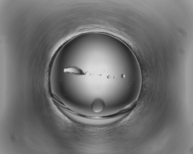 X0000111681518200907311209