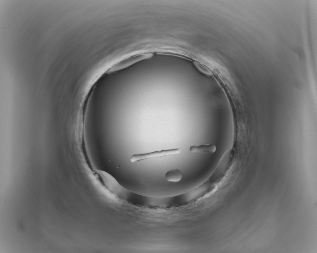 X0000111681520200907311209