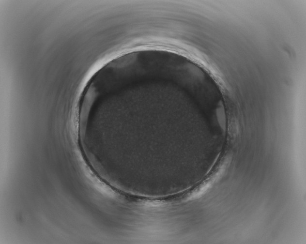 X0000111681522200907311209