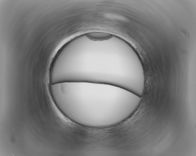 X0000111681523200907311209