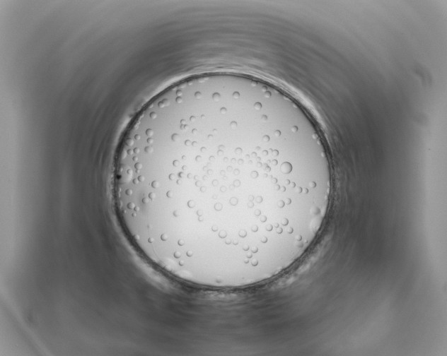 X0000111681525200907311209