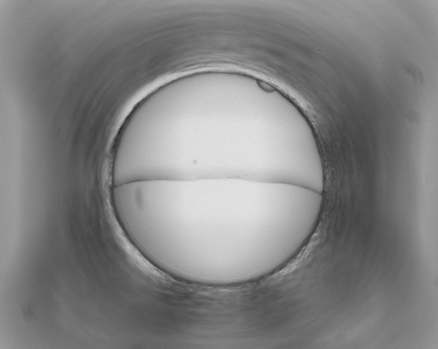 X0000111681526200907311209