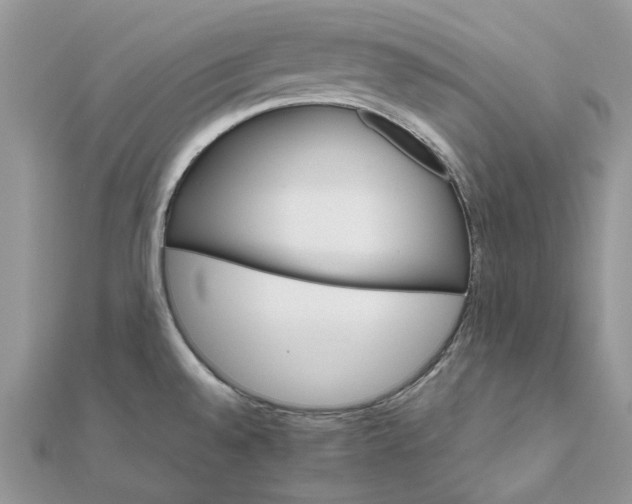 X0000111681528200907311209