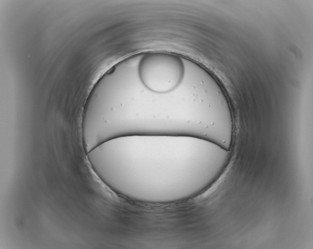 X0000111681529200907311209