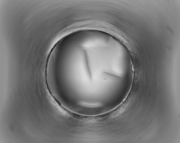 X0000111681530200907311209