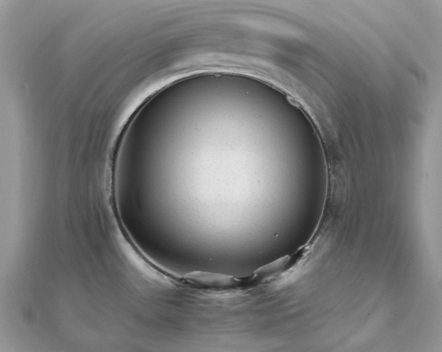 X0000111681531200907311209