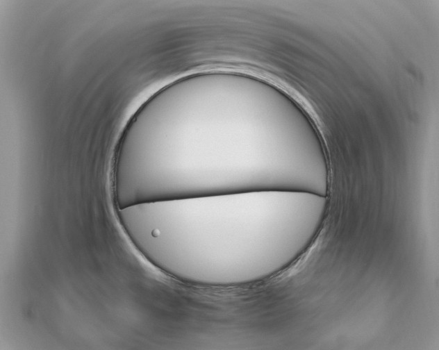 X0000111681533200907311209