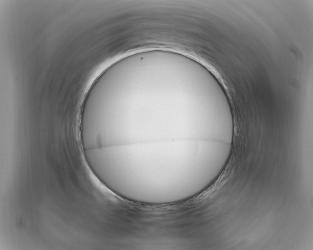 X0000111681535200907311209