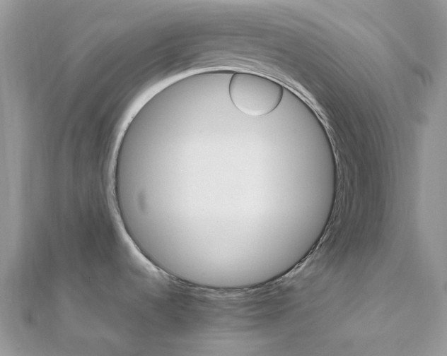 X0000111681536200907311209