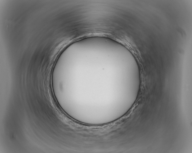 X0000111680001200908071434