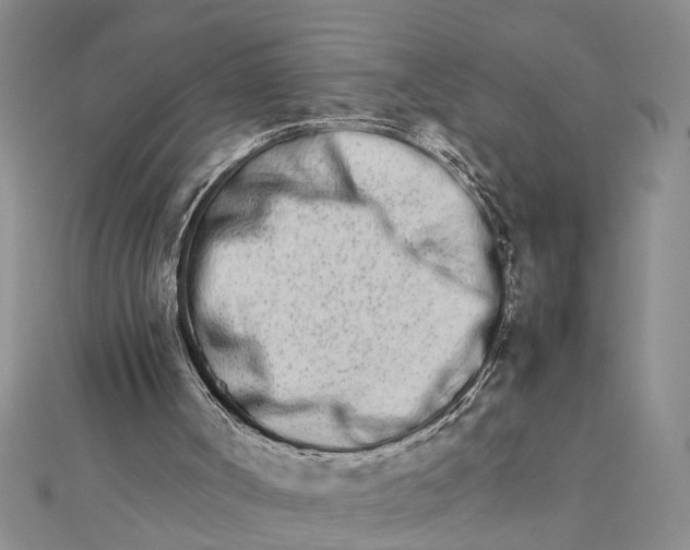 X0000111680002200908071434