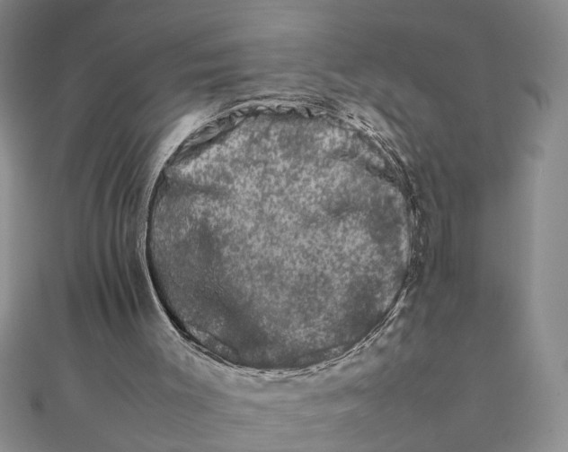 X0000111680003200908071434