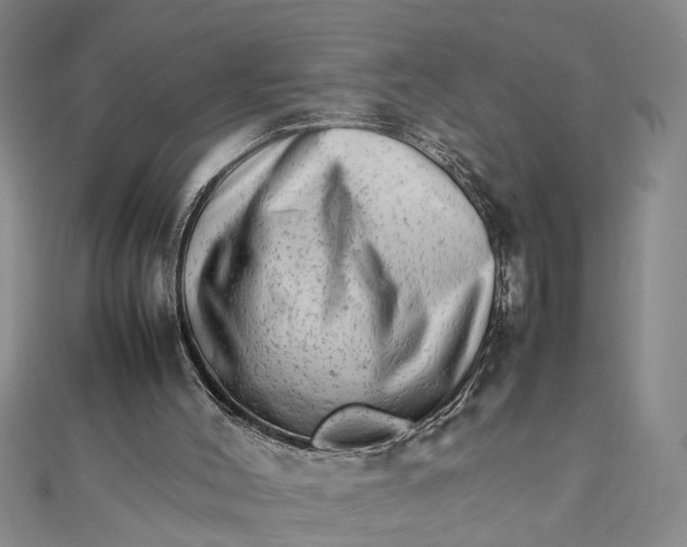 X0000111680004200908071434