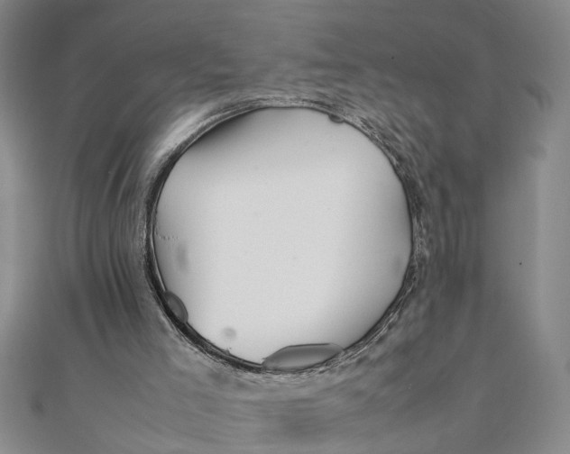 X0000111680005200908071434