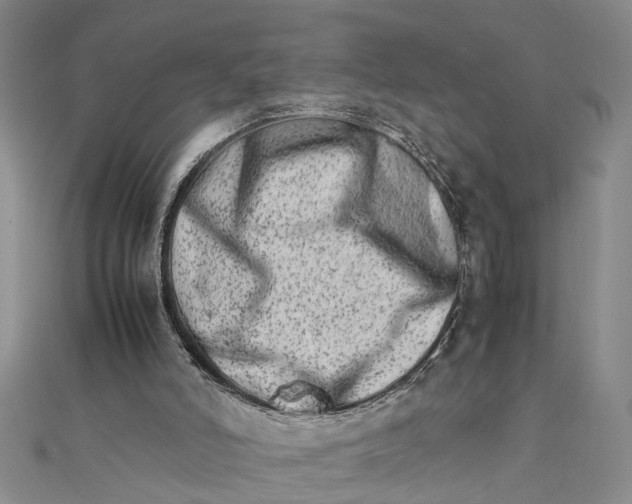 X0000111680006200908071434