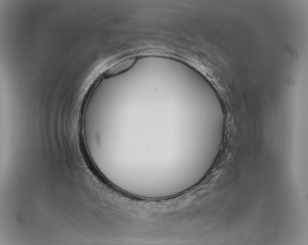 X0000111680007200908071434