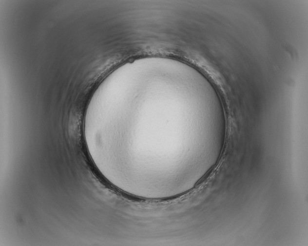 X0000111680009200908071434