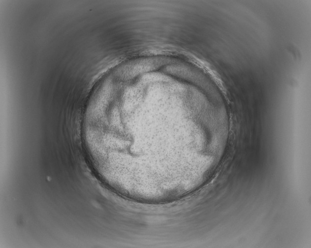 X0000111680010200908071434