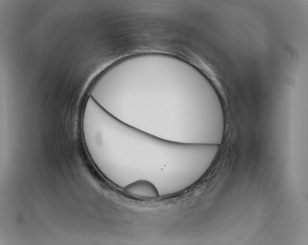 X0000111680012200908071434