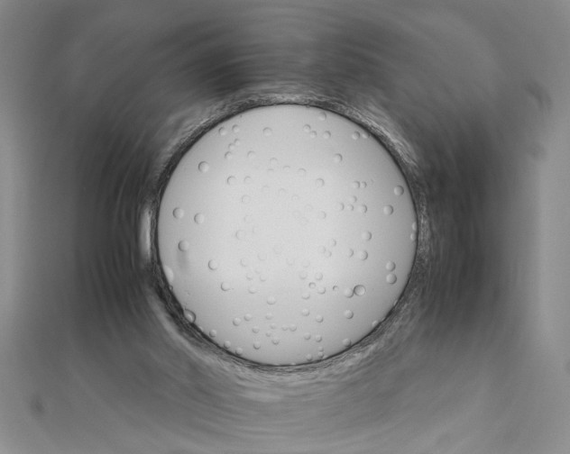 X0000111680014200908071434