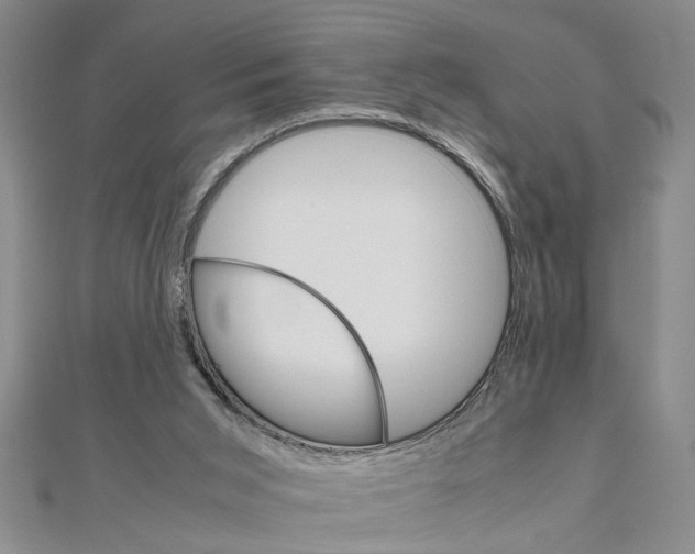 X0000111680015200908071434