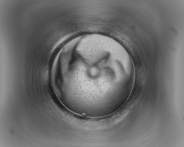 X0000111680016200908071434