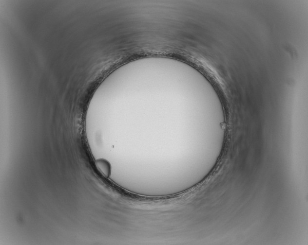 X0000111680017200908071434