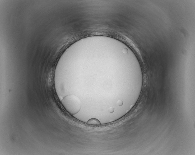 X0000111680018200908071434