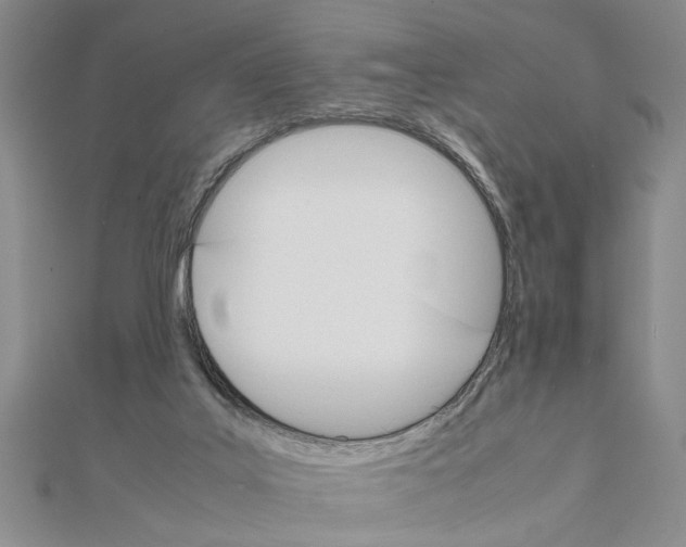 X0000111680019200908071434