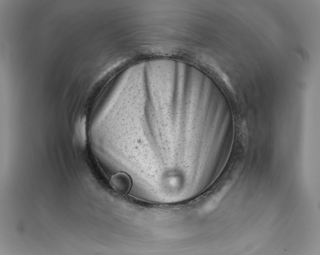 X0000111680020200908071434