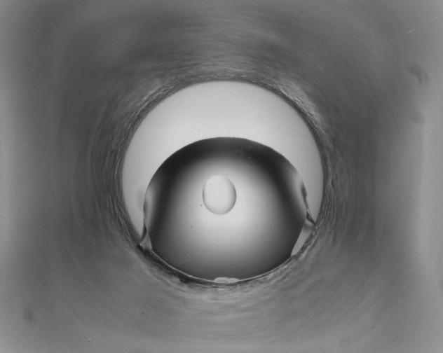 X0000111680021200908071434