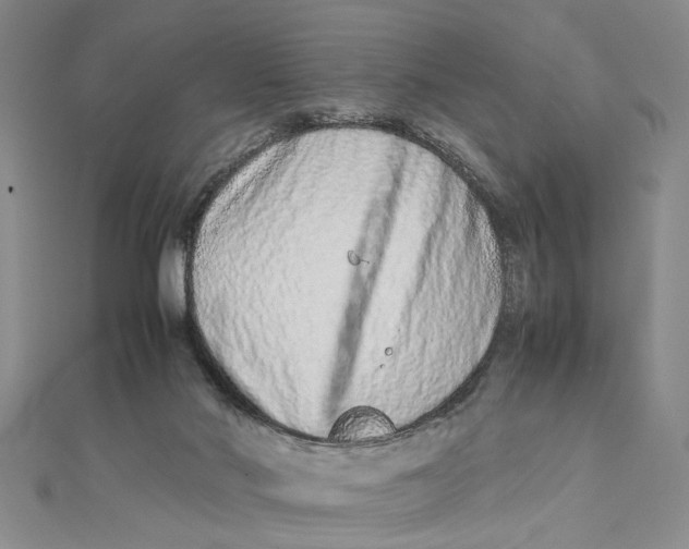 X0000111680022200908071434