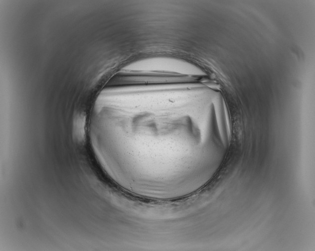 X0000111680024200908071434