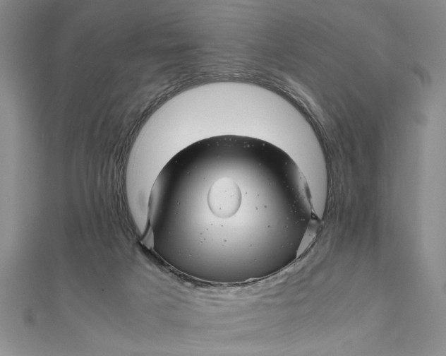 X0000111680025200908071434