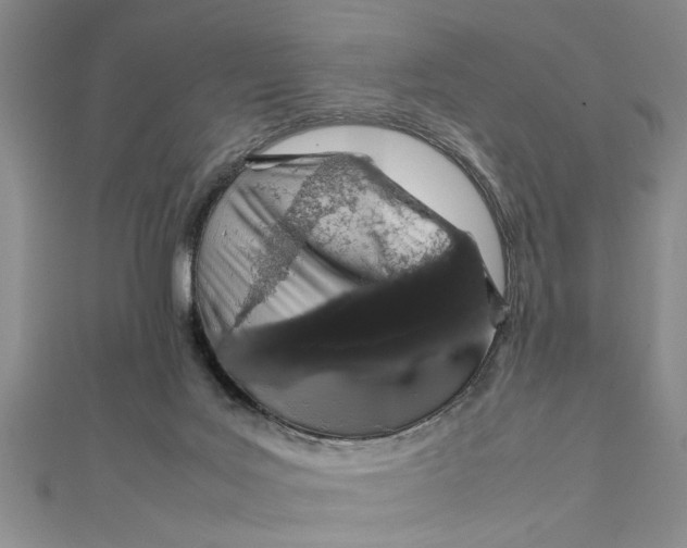 X0000111680027200908071434