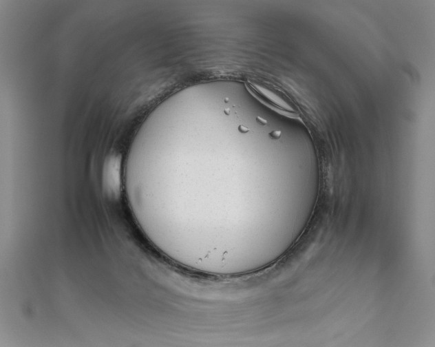 X0000111680028200908071434