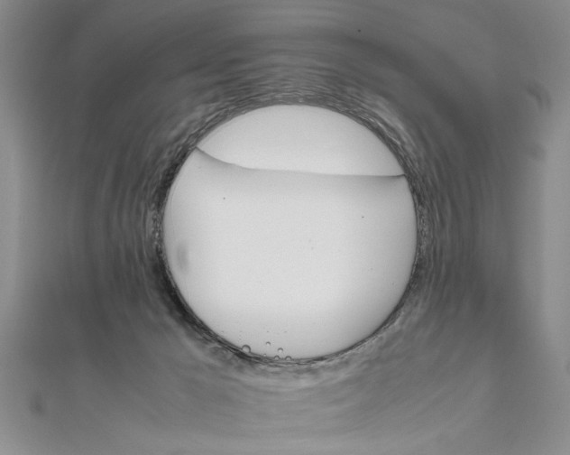 X0000111680029200908071434