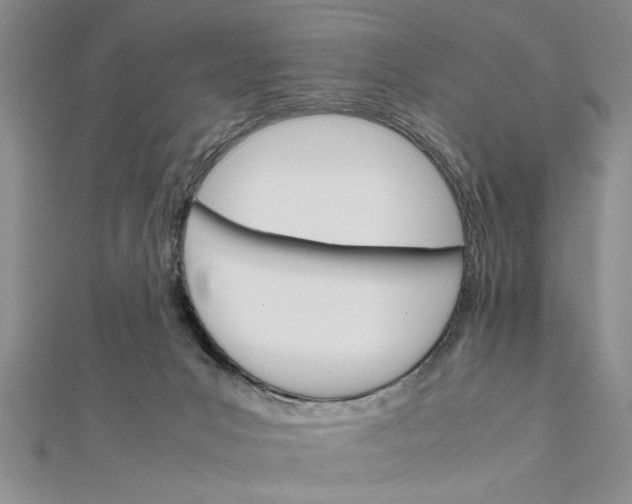 X0000111680031200908071434