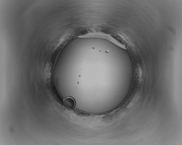 X0000111680032200908071434