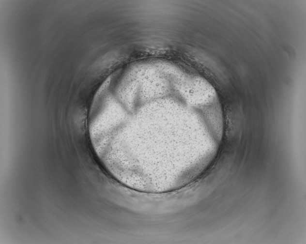 X0000111680034200908071434