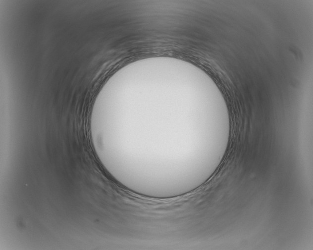 X0000111680035200908071434