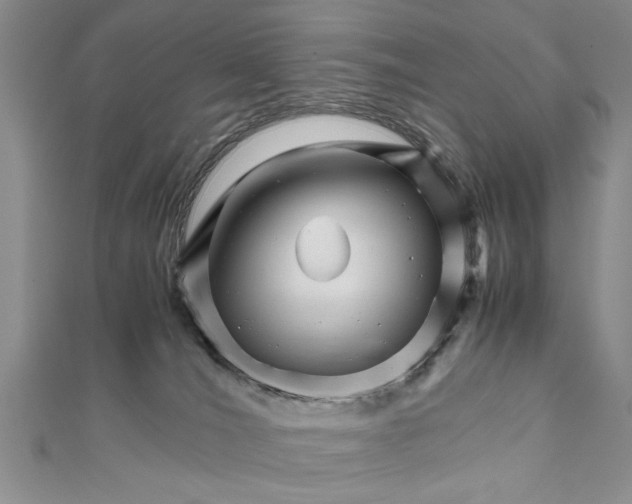 X0000111680036200908071434